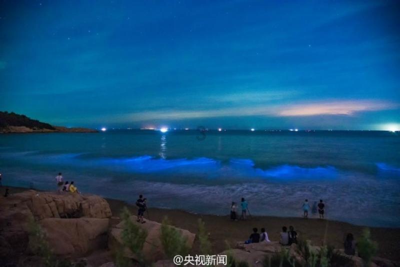 首届湖南沅陵“沅滋沅味”年货节盛大开幕