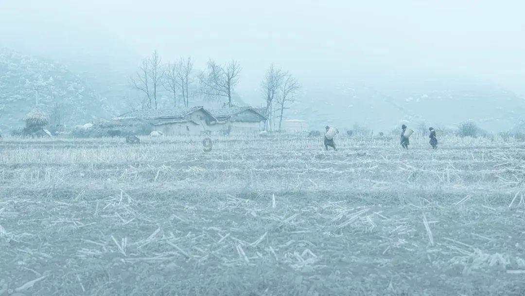 瞰江西!雪后山村现沃野良田美景